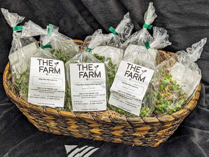Basket of fresh microgreens from The Farm, including Mild Mix and China Rose Radish varieties, packaged in clear bags with labels. Ideal for healthy eating and local sourcing.